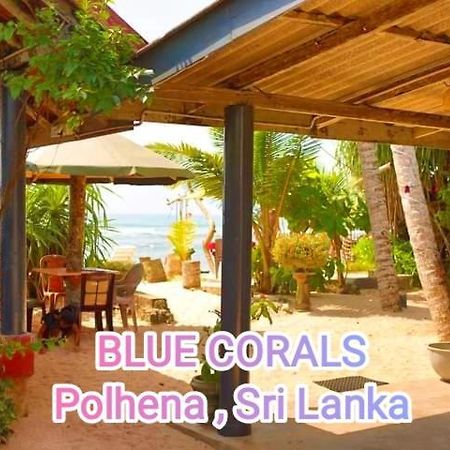 Blue Corals Beach Bungalow Matara Eksteriør bilde