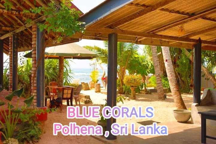 Blue Corals Beach Bungalow Matara Eksteriør bilde