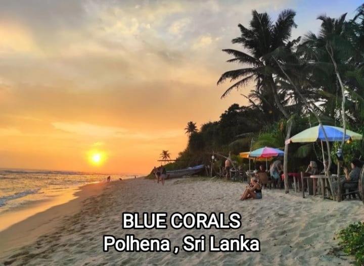 Blue Corals Beach Bungalow Matara Eksteriør bilde