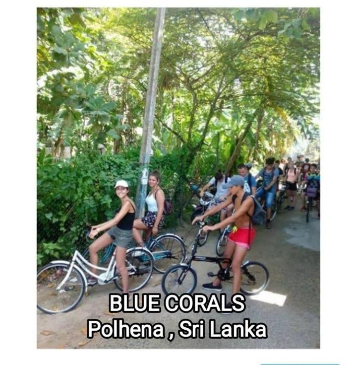 Blue Corals Beach Bungalow Matara Eksteriør bilde