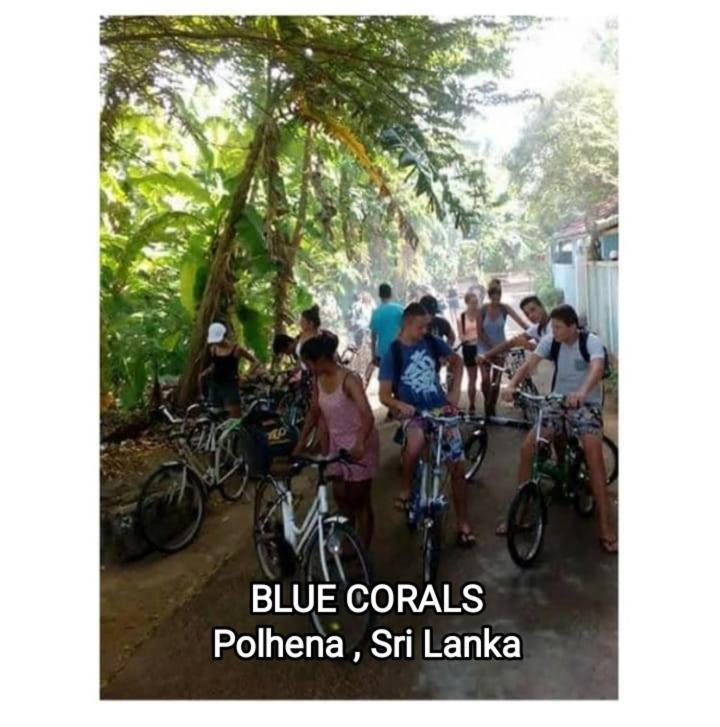 Blue Corals Beach Bungalow Matara Eksteriør bilde