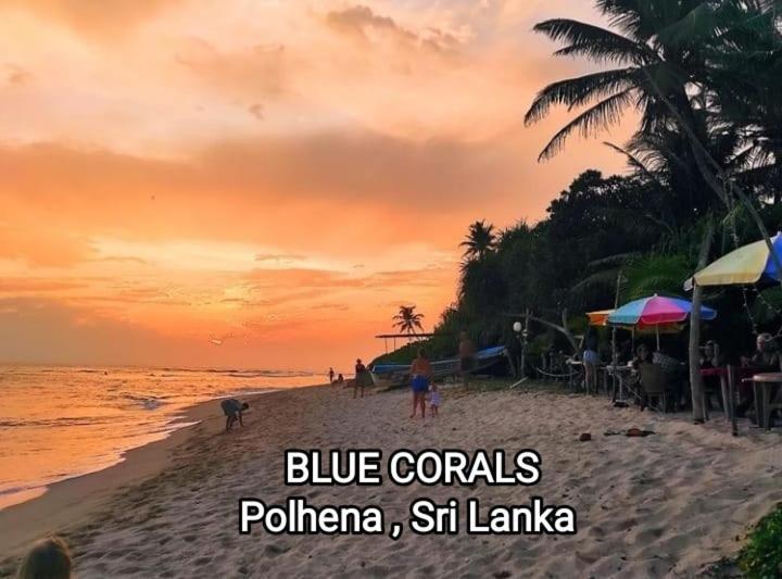 Blue Corals Beach Bungalow Matara Eksteriør bilde