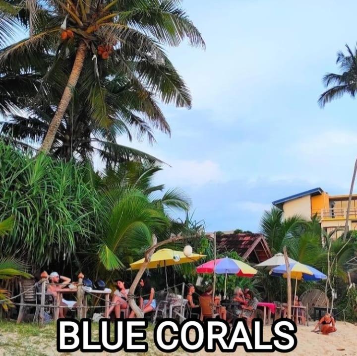 Blue Corals Beach Bungalow Matara Eksteriør bilde