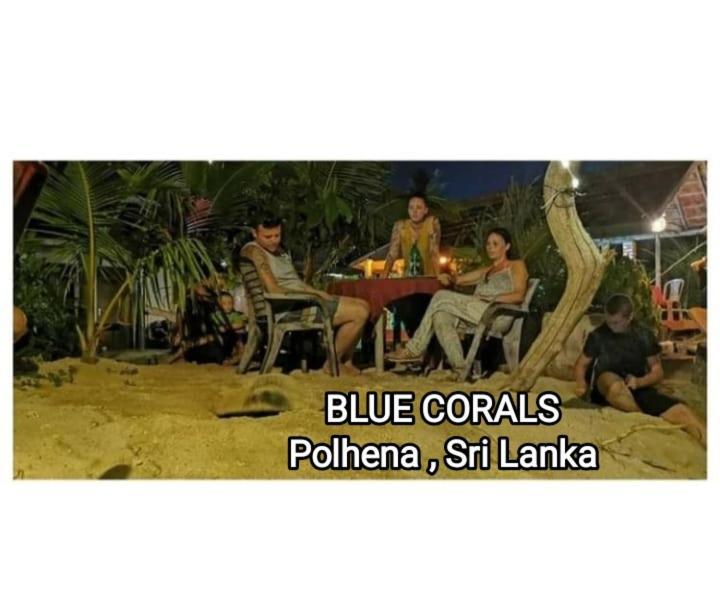 Blue Corals Beach Bungalow Matara Eksteriør bilde