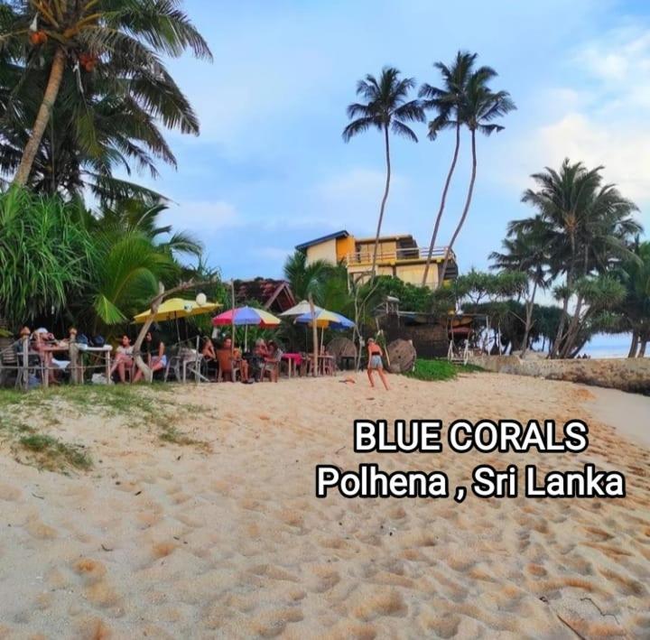 Blue Corals Beach Bungalow Matara Eksteriør bilde
