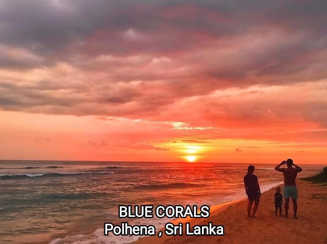 Blue Corals Beach Bungalow Matara Eksteriør bilde