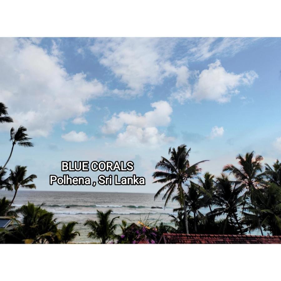 Blue Corals Beach Bungalow Matara Eksteriør bilde