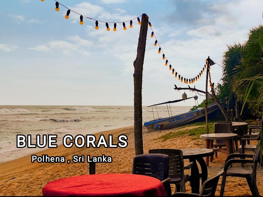 Blue Corals Beach Bungalow Matara Eksteriør bilde