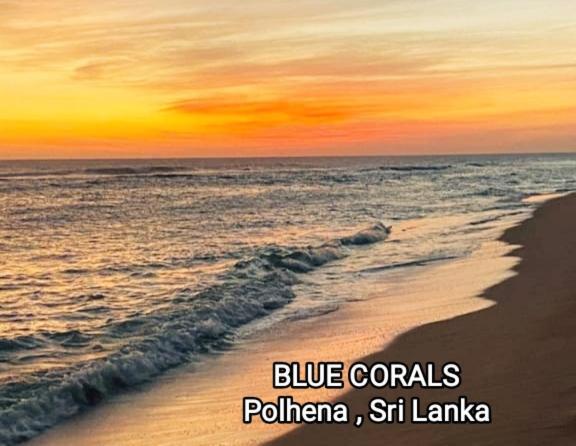 Blue Corals Beach Bungalow Matara Eksteriør bilde