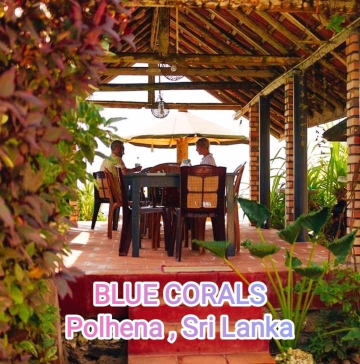 Blue Corals Beach Bungalow Matara Eksteriør bilde
