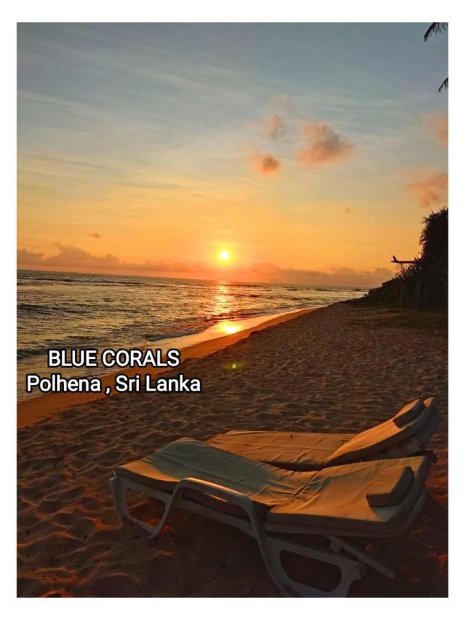 Blue Corals Beach Bungalow Matara Eksteriør bilde