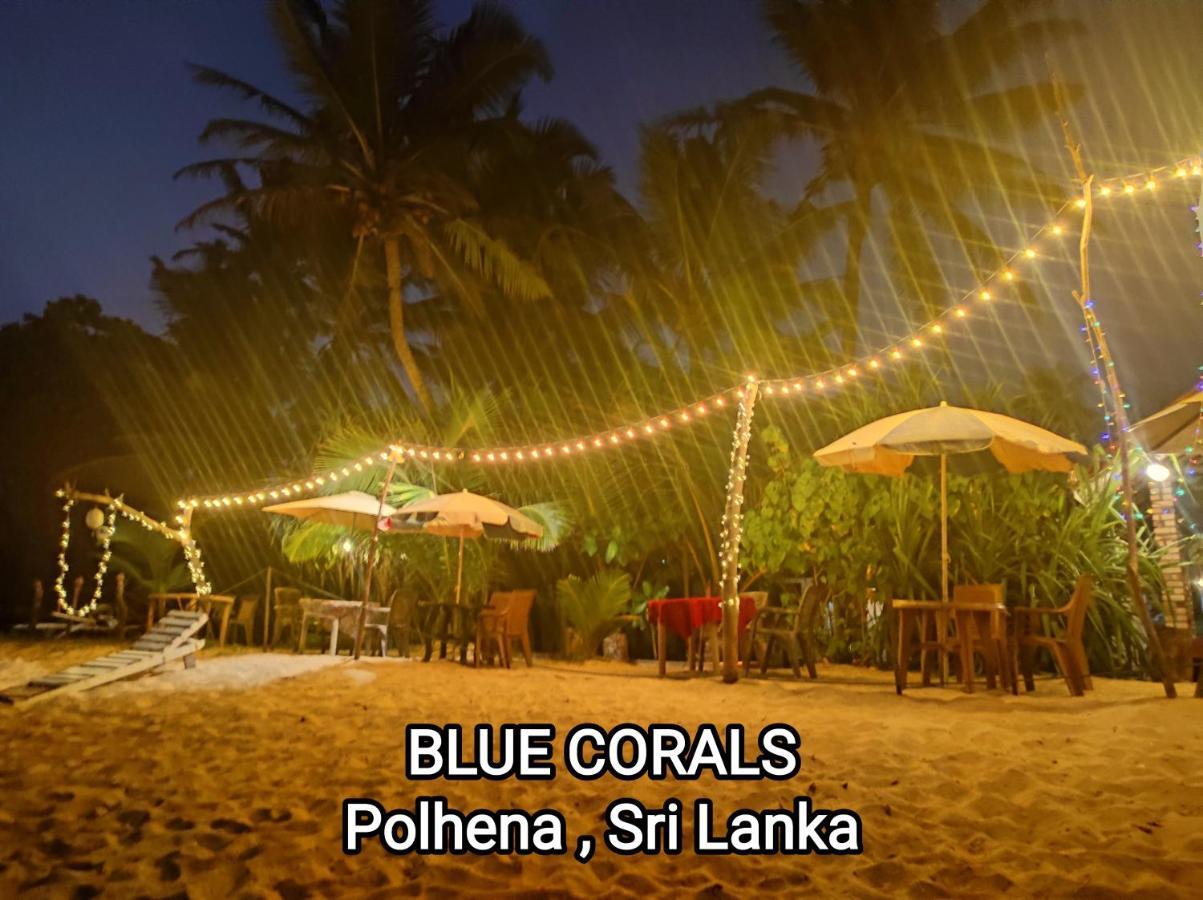 Blue Corals Beach Bungalow Matara Eksteriør bilde