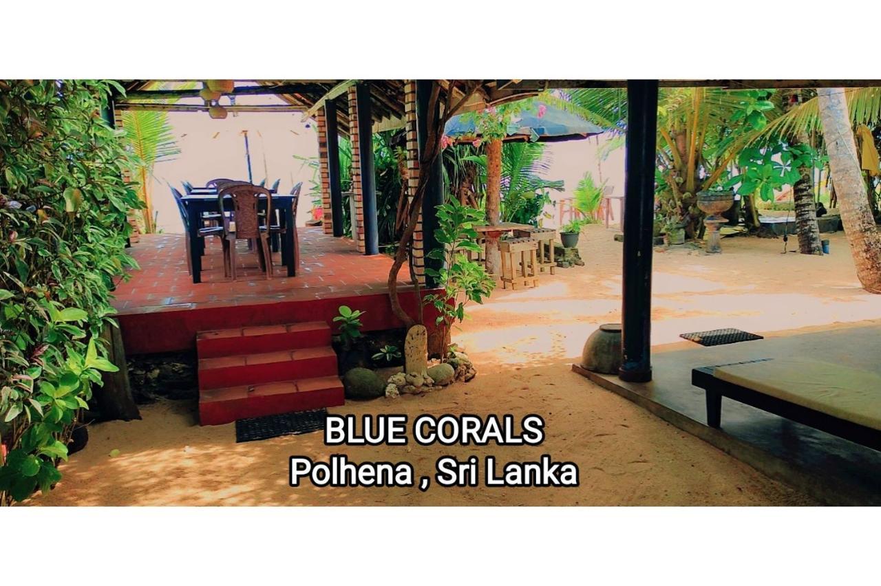 Blue Corals Beach Bungalow Matara Eksteriør bilde