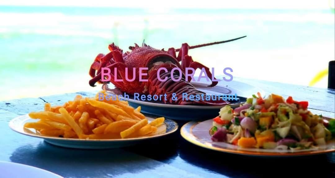 Blue Corals Beach Bungalow Matara Eksteriør bilde