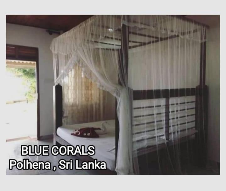 Blue Corals Beach Bungalow Matara Eksteriør bilde
