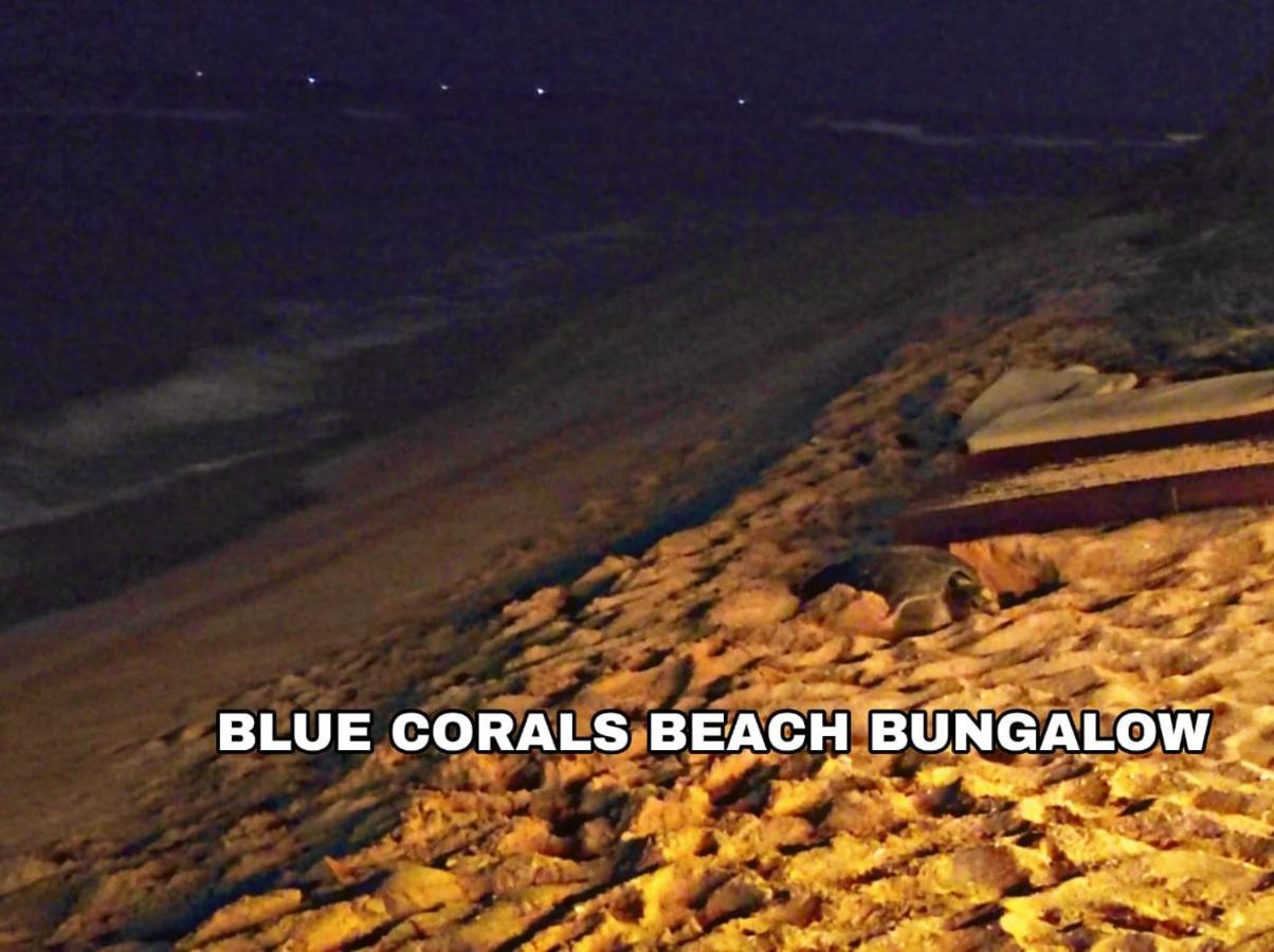 Blue Corals Beach Bungalow Matara Eksteriør bilde